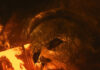 Cinema: Halloween Kills | Michael Myers está de volta em novo teaser