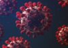 Confirmado: 1° caso de reinfecção por coronavírus do Brasil