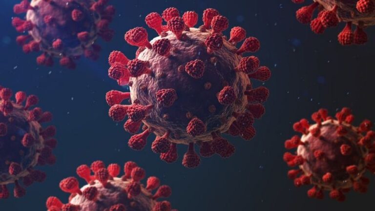 Confirmado: 1° caso de reinfecção por coronavírus do Brasil Confirmado: 1° caso de reinfecção por coronavírus do Brasil