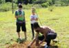 Trabalho de voluntários para arborizar parque do Guará