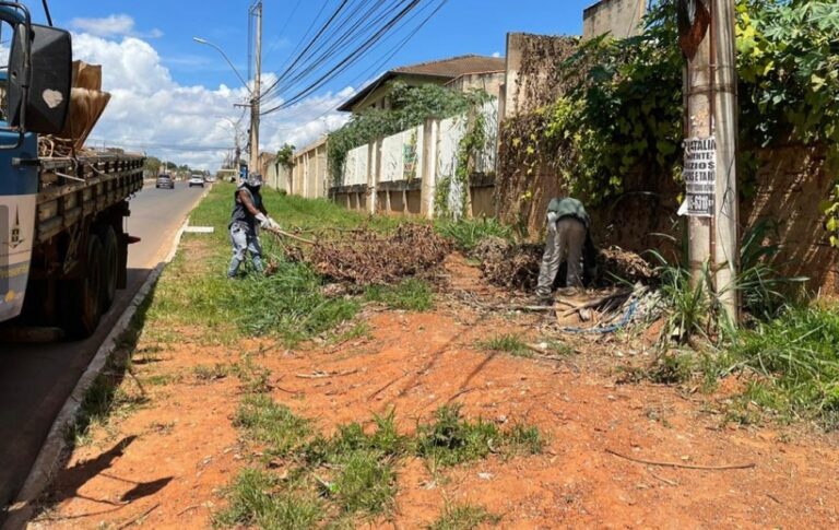 MAIS DE 40 TONELADAS DE ENTULHO RETIRADO DE VICENTE PIRES MAIS DE 40 TONELADAS DE ENTULHO RETIRADO DE VICENTE PIRES