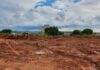 Guará vai ganhar novo parque com espaços verdes e de convivência