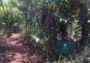 Vamos conhecer a Reserva Natural Jardim Botânico?