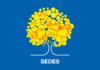 Saiba como é o trabalho de acolhimento às pessoas em situação de rua
