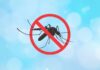 Casos de dengue caem 81,5% no Distrito Federal