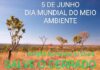 CERRADO PATRIMÔNIO NACIONAL JÁ!