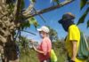 Semana do Cerrado terá atividades educativas em trilhas