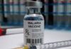 1ª vacina contra malária aprovada pela OMS poderá evitar 400 mil mortes ano