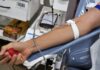 Semana Nacional do Doador de Sangue terá música e coleta móvel