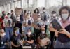 Estudantes da UnB criam inseticida natural contra Aedes Aegypti