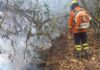 Brasileiros criam ‘Inteligência Artificial’ que detecta incêndios em instantes