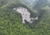 Floresta antiga com árvores de 40 metros é encontrada em “buraco”