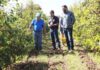 Café produzido no Lago Norte é classificado como gourmet
