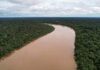 Noruega vai reativar o Fundo da Amazônia. R$ 2,5 bilhões parados