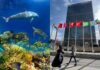200 países fecham acordo histórico para proteger a vida marinha