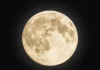 Última Superlua do ano será esta semana: fenômeno incomum