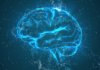 Novo dispositivo é capaz de detectar Alzheimer durante o sono, anos antes.