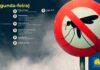 Confira o Itinerário do Fumacê na Segunda-feira (29) para o Controle de Vetores
