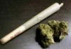 Proposta em Debate: Multa de R$ 2 Mil para Uso de Drogas no DF, Segundo Novo Projeto