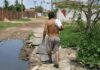 Cai pobreza no Brasil; Nordeste registra maior queda, diz FGV