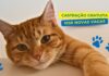 Campanha mensal de castração gratuita do GDF beneficiará 1.056 pets