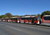 Novos ônibus Zebrinha começam a circular em Arniqueira e Águas Claras nesta sexta-feira (13)