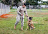 Cães da Polícia Militar do DF recebem homenagem antes de aposentadoria