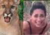 Ibama identifica e vai multar mulher gravada matando onça-parda