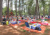 Zoológico e Jardim Botânico de Brasília terão entrada gratuita aos domingos e feriados