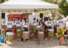 Roteiro cultural gratuito traz música, festival de luta, feiras e exposições ao Distrito Federal