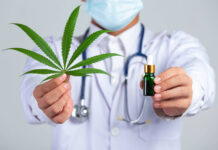 Cannabis medicinal movimenta R$ 971 milhões no Brasil e amplia demanda por controle de qualidade