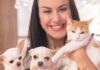 Pets podem ganhar rede gratuita de atendimento veterinário