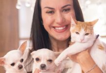 Pets podem ganhar rede gratuita de atendimento veterinário