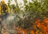 Queima de lixo e vegetação é crime ambiental e eleva risco de incêndio durante o período de seca