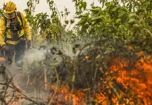 Queima de lixo e vegetação é crime ambiental e eleva risco de incêndio durante o período de seca